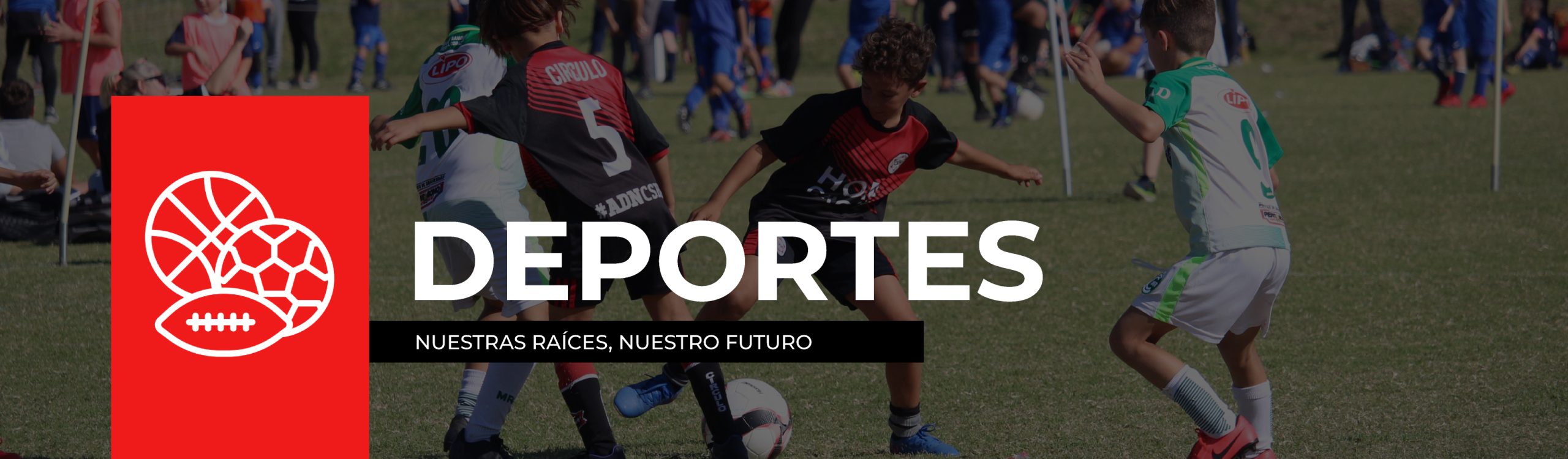 deportes2